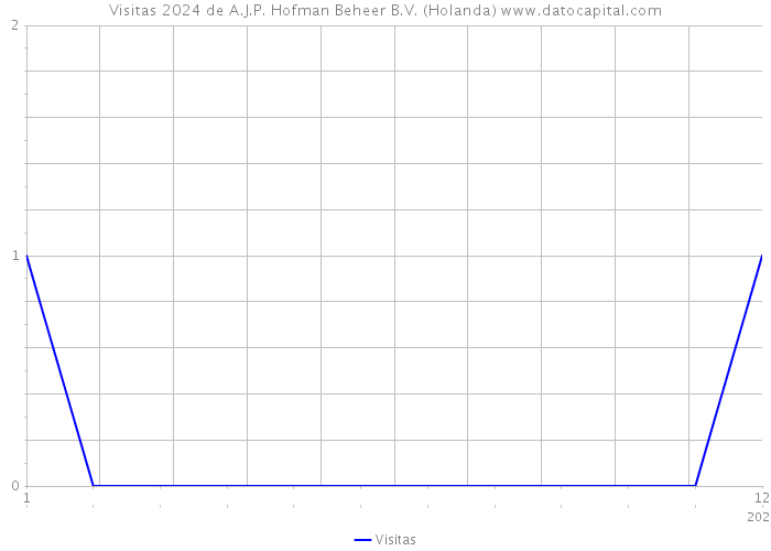 Visitas 2024 de A.J.P. Hofman Beheer B.V. (Holanda) 