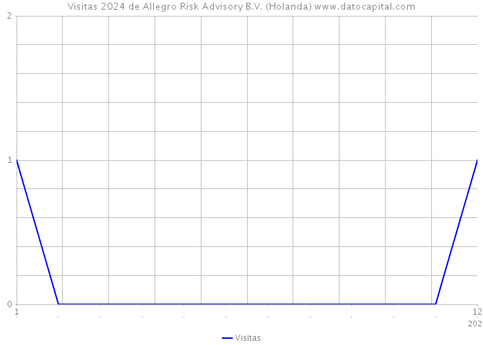 Visitas 2024 de Allegro Risk Advisory B.V. (Holanda) 