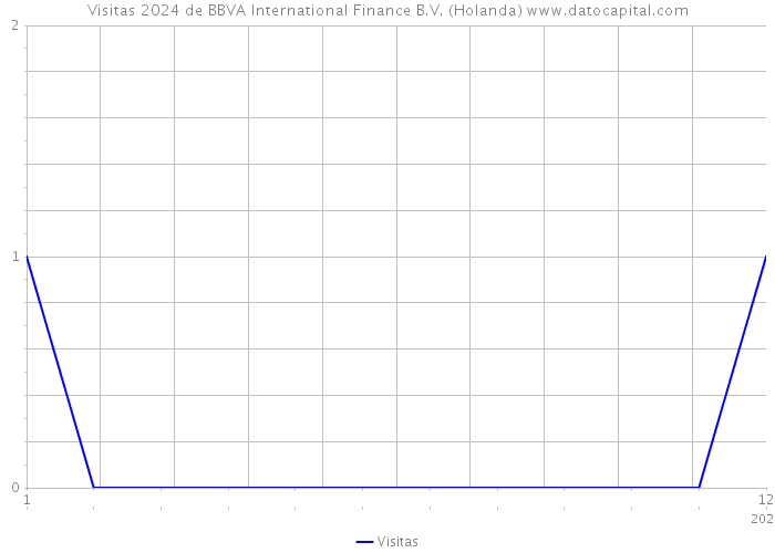Visitas 2024 de BBVA International Finance B.V. (Holanda) 