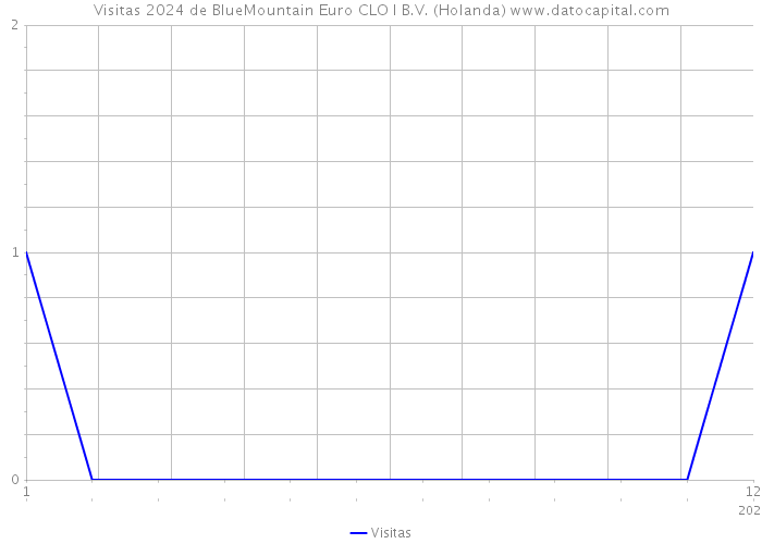 Visitas 2024 de BlueMountain Euro CLO I B.V. (Holanda) 