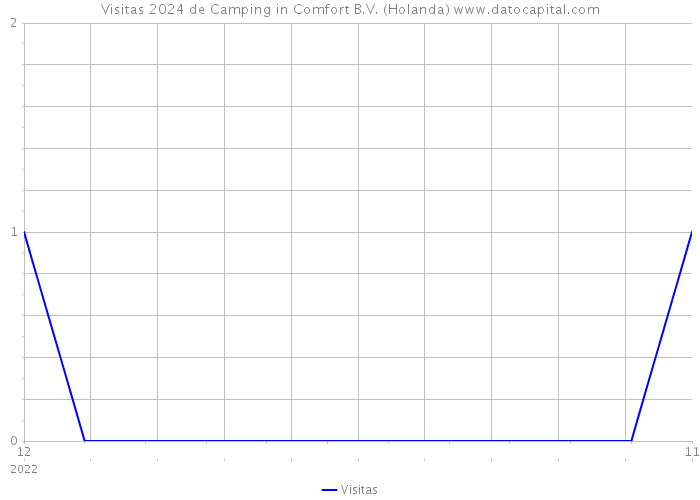 Visitas 2024 de Camping in Comfort B.V. (Holanda) 