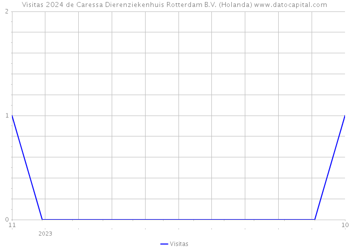 Visitas 2024 de Caressa Dierenziekenhuis Rotterdam B.V. (Holanda) 