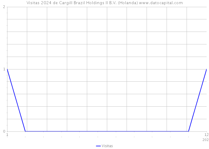 Visitas 2024 de Cargill Brazil Holdings II B.V. (Holanda) 