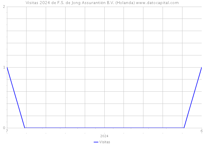 Visitas 2024 de F.S. de Jong Assurantiën B.V. (Holanda) 