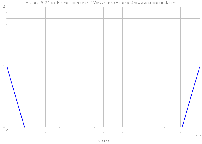 Visitas 2024 de Firma Loonbedrijf Wesselink (Holanda) 