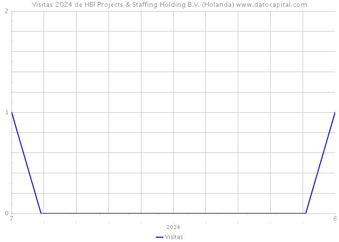 Visitas 2024 de HBI Projects & Staffing Holding B.V. (Holanda) 