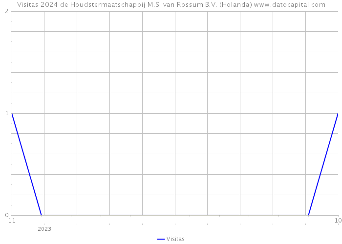 Visitas 2024 de Houdstermaatschappij M.S. van Rossum B.V. (Holanda) 