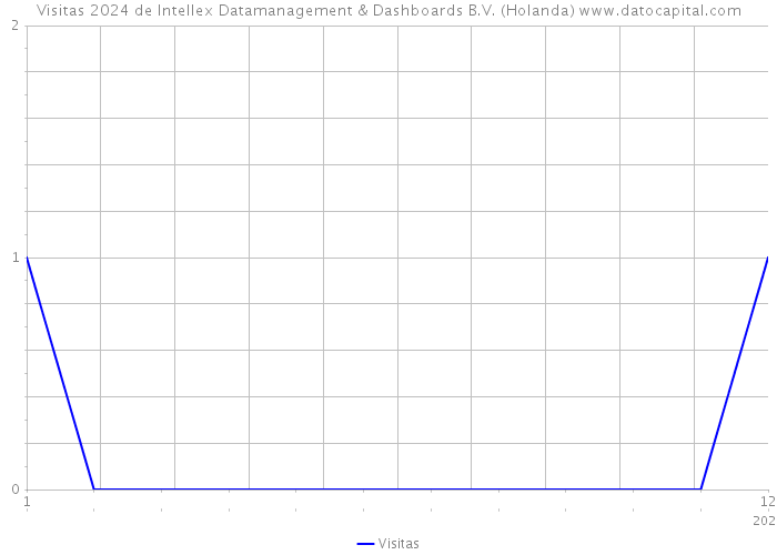 Visitas 2024 de Intellex Datamanagement & Dashboards B.V. (Holanda) 