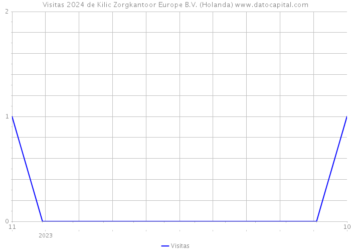 Visitas 2024 de Kilic Zorgkantoor Europe B.V. (Holanda) 