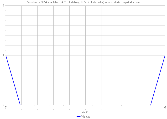 Visitas 2024 de Mir I AM Holding B.V. (Holanda) 