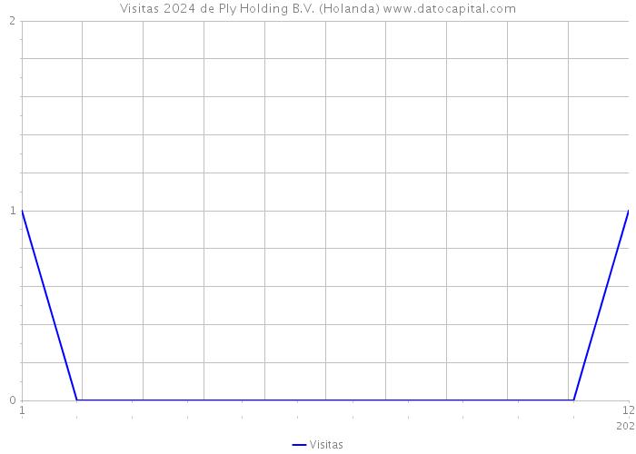 Visitas 2024 de Ply Holding B.V. (Holanda) 