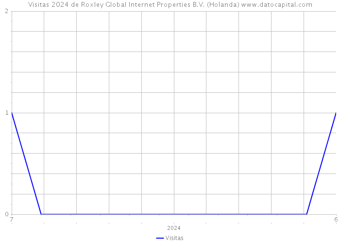 Visitas 2024 de Roxley Global Internet Properties B.V. (Holanda) 