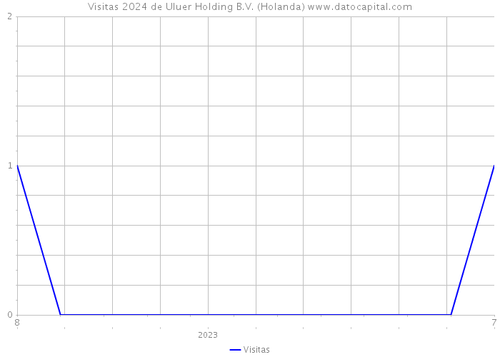 Visitas 2024 de Uluer Holding B.V. (Holanda) 