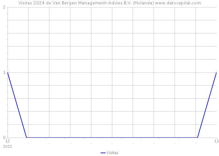 Visitas 2024 de Van Bergen Management-Advies B.V. (Holanda) 