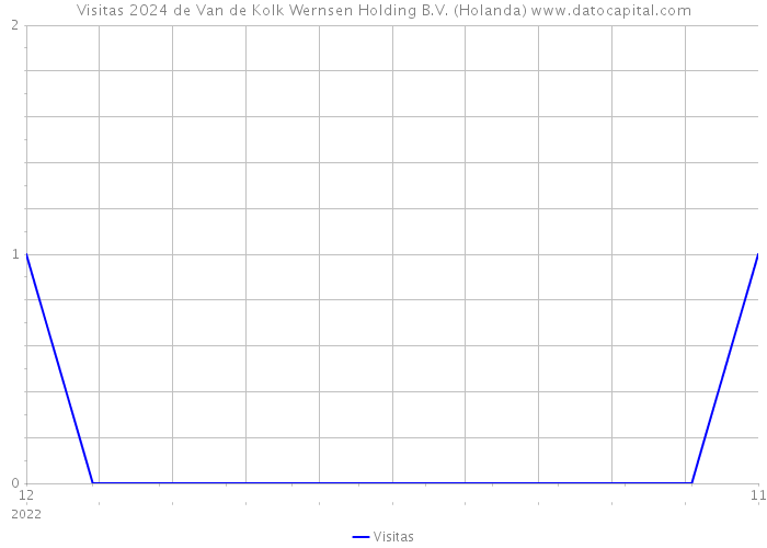 Visitas 2024 de Van de Kolk Wernsen Holding B.V. (Holanda) 