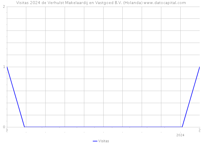 Visitas 2024 de Verhulst Makelaardij en Vastgoed B.V. (Holanda) 