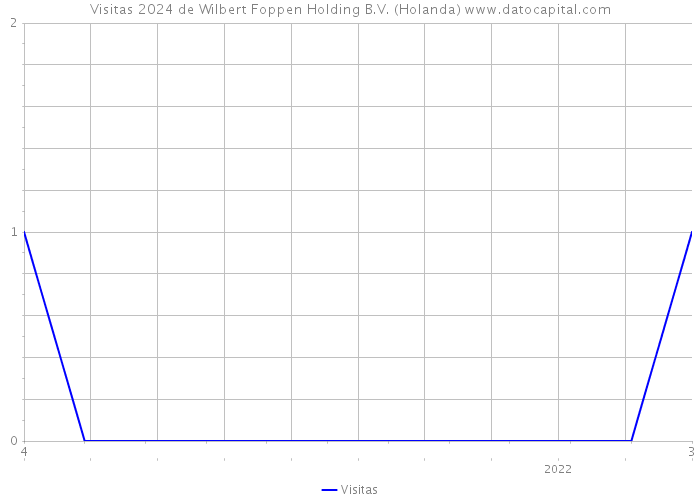 Visitas 2024 de Wilbert Foppen Holding B.V. (Holanda) 