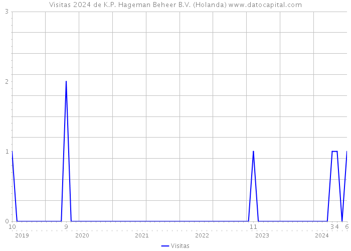 Visitas 2024 de K.P. Hageman Beheer B.V. (Holanda) 