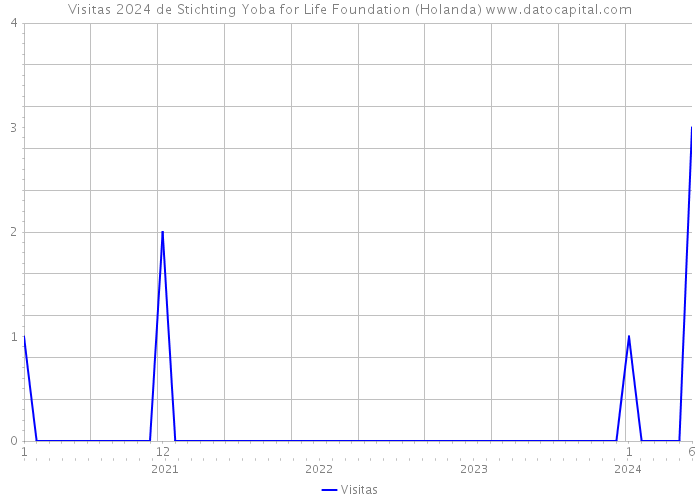 Visitas 2024 de Stichting Yoba for Life Foundation (Holanda) 