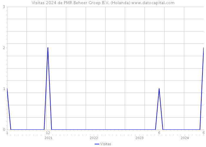 Visitas 2024 de PMR Beheer Groep B.V. (Holanda) 