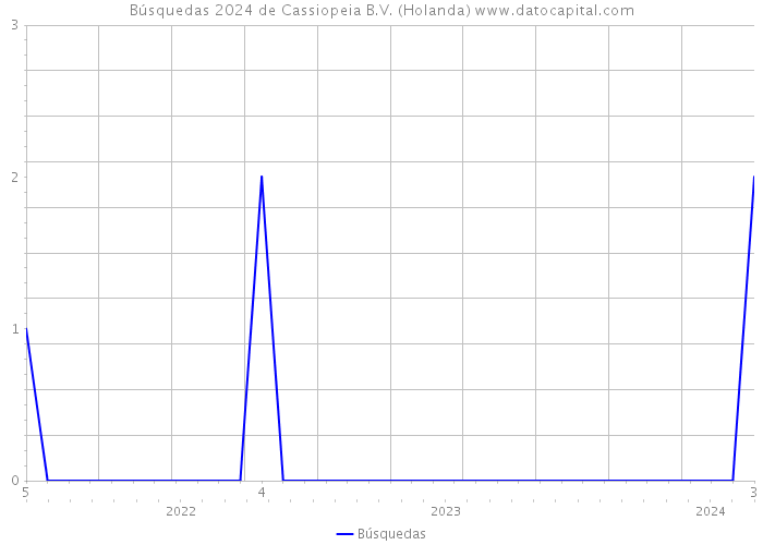 Búsquedas 2024 de Cassiopeia B.V. (Holanda) 