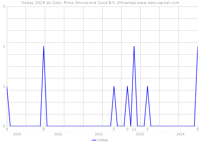 Visitas 2024 de Gebr. Prins Onroerend Goed B.V. (Holanda) 