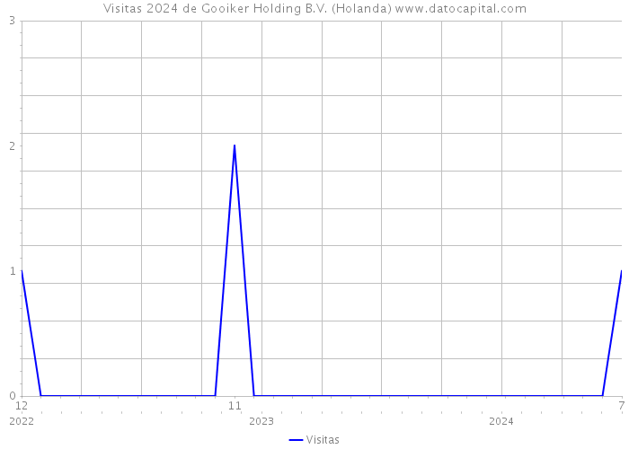 Visitas 2024 de Gooiker Holding B.V. (Holanda) 