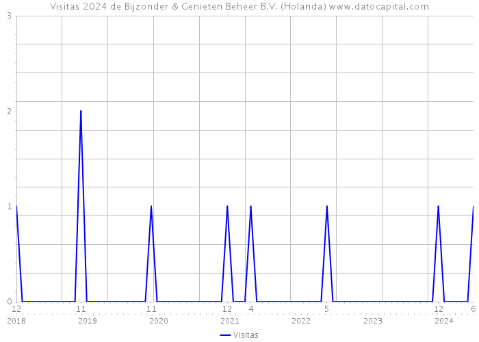 Visitas 2024 de Bijzonder & Genieten Beheer B.V. (Holanda) 