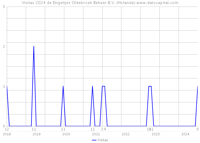 Visitas 2024 de Engeltjes Oldebroek Beheer B.V. (Holanda) 