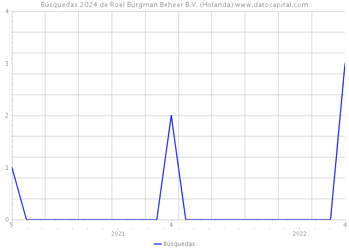 Búsquedas 2024 de Roel Burgman Beheer B.V. (Holanda) 