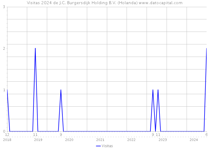 Visitas 2024 de J.C. Burgersdijk Holding B.V. (Holanda) 