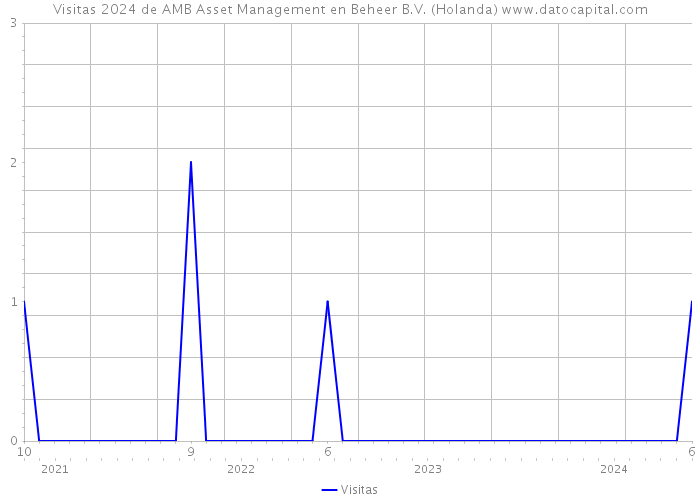 Visitas 2024 de AMB Asset Management en Beheer B.V. (Holanda) 