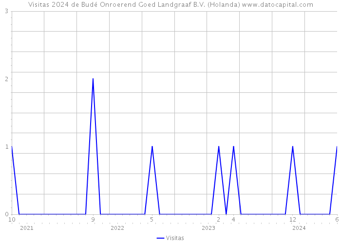 Visitas 2024 de Budé Onroerend Goed Landgraaf B.V. (Holanda) 