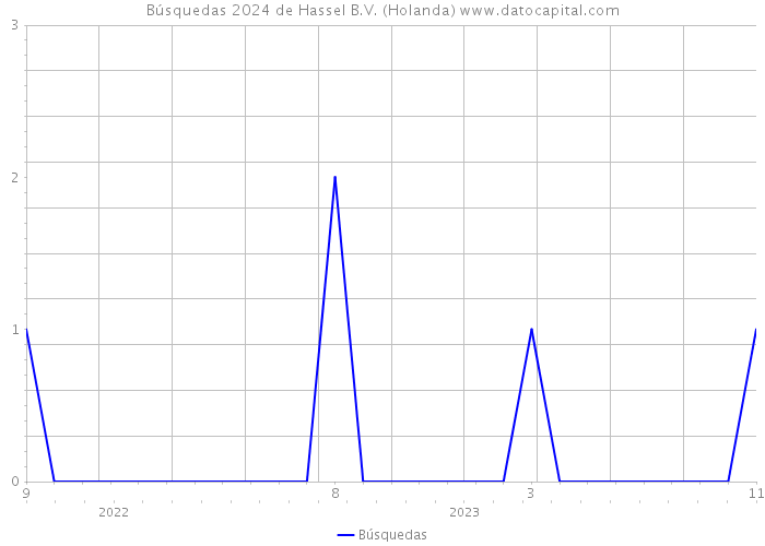 Búsquedas 2024 de Hassel B.V. (Holanda) 