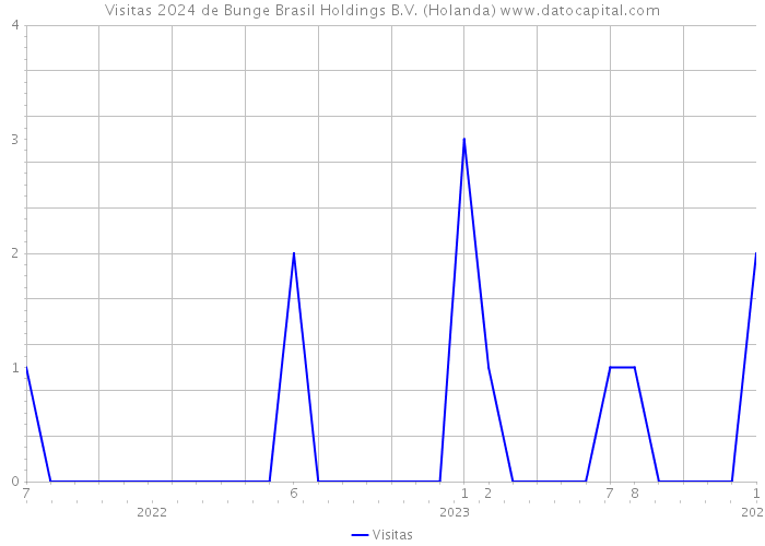 Visitas 2024 de Bunge Brasil Holdings B.V. (Holanda) 