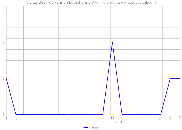 Visitas 2024 de Pannon Detachering B.V. (Holanda) 