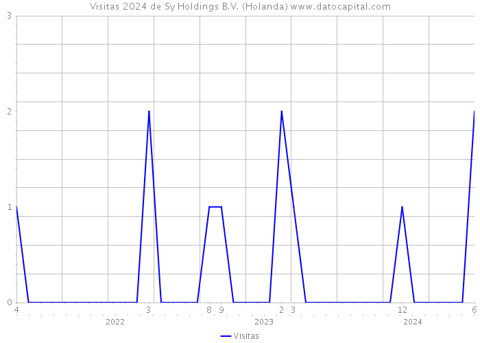 Visitas 2024 de Sy Holdings B.V. (Holanda) 