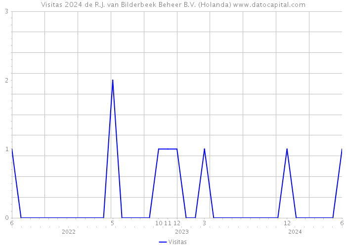 Visitas 2024 de R.J. van Bilderbeek Beheer B.V. (Holanda) 