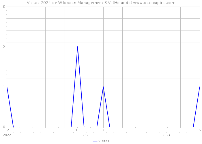 Visitas 2024 de Wildbaan Management B.V. (Holanda) 