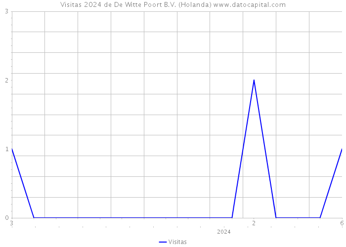 Visitas 2024 de De Witte Poort B.V. (Holanda) 