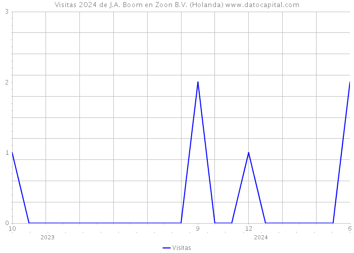 Visitas 2024 de J.A. Boom en Zoon B.V. (Holanda) 