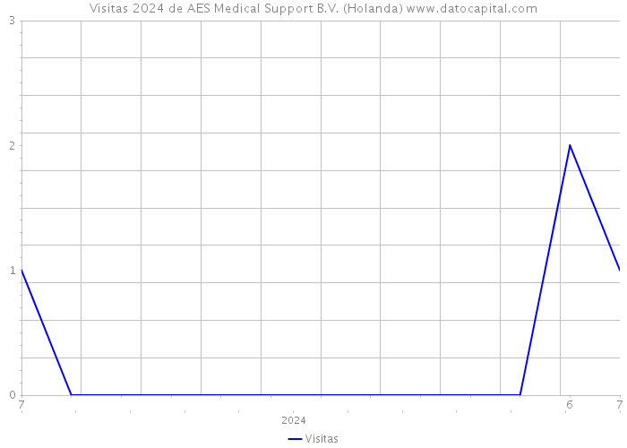 Visitas 2024 de AES Medical Support B.V. (Holanda) 