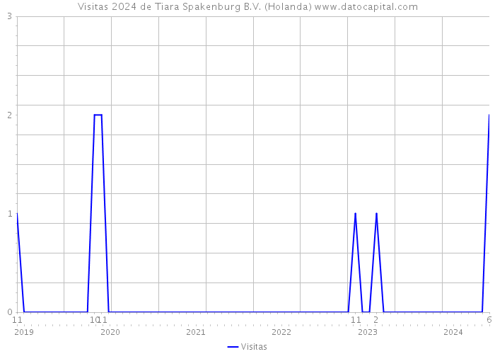 Visitas 2024 de Tiara Spakenburg B.V. (Holanda) 