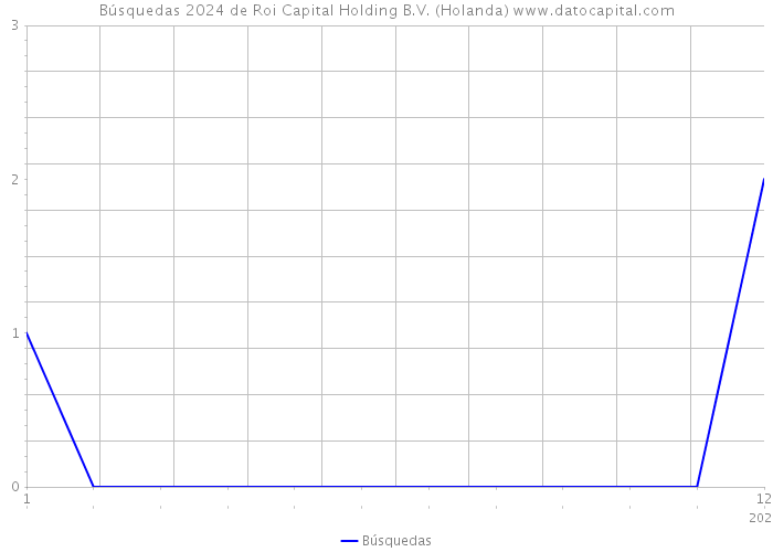 Búsquedas 2024 de Roi Capital Holding B.V. (Holanda) 