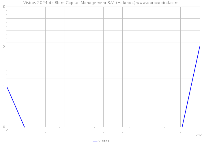 Visitas 2024 de Blom Capital Management B.V. (Holanda) 