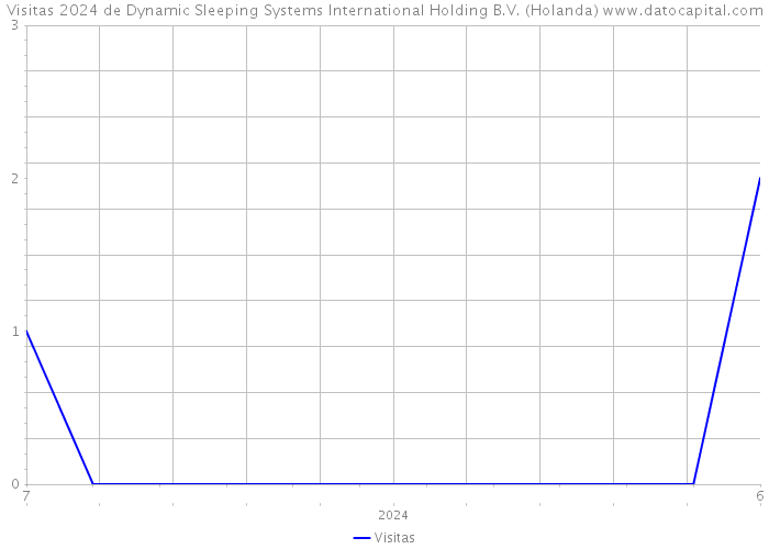 Visitas 2024 de Dynamic Sleeping Systems International Holding B.V. (Holanda) 