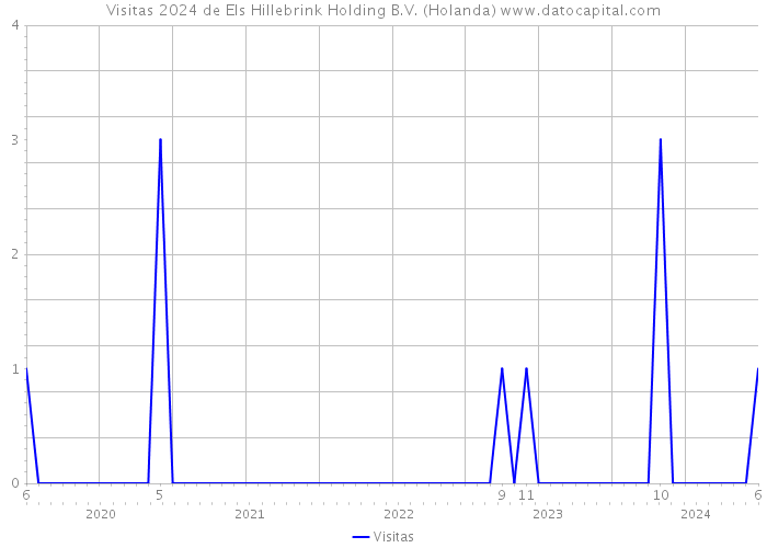 Visitas 2024 de Els Hillebrink Holding B.V. (Holanda) 
