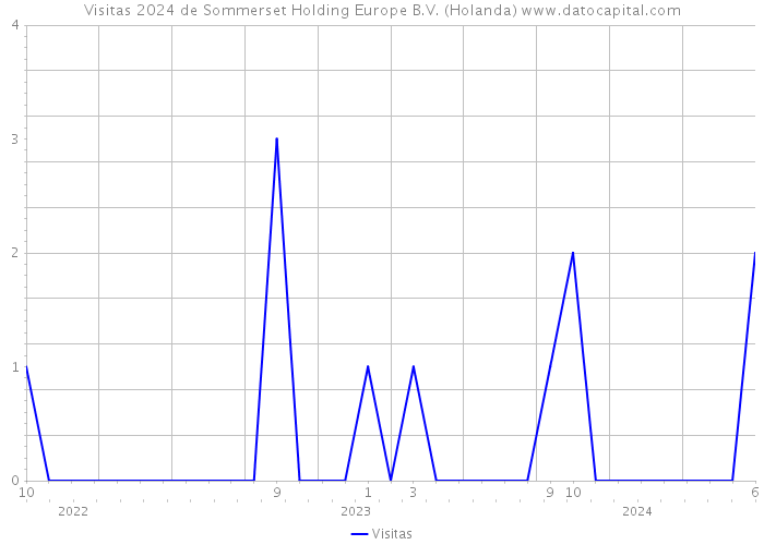 Visitas 2024 de Sommerset Holding Europe B.V. (Holanda) 