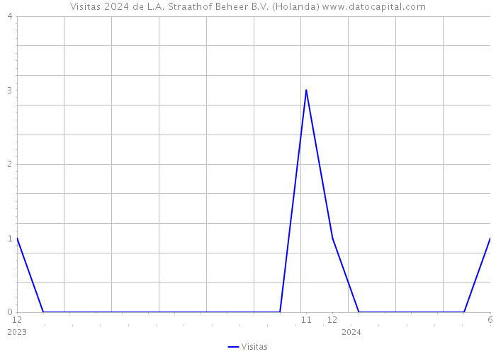 Visitas 2024 de L.A. Straathof Beheer B.V. (Holanda) 