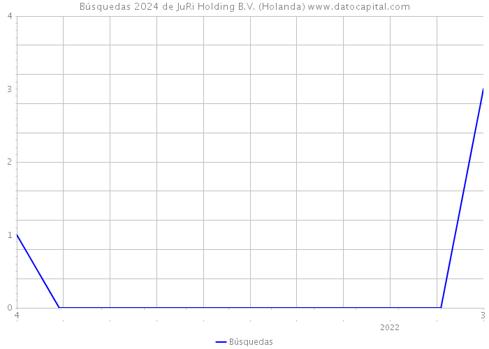 Búsquedas 2024 de JuRi Holding B.V. (Holanda) 